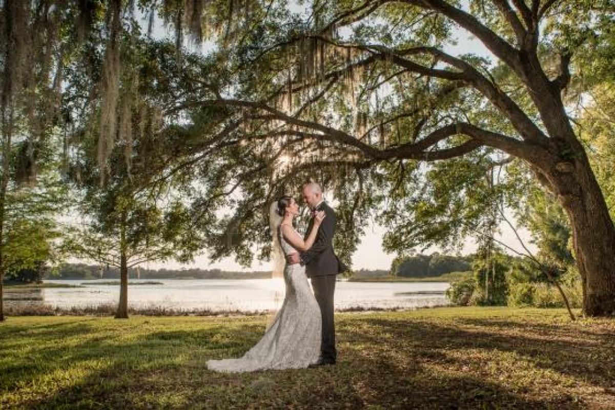 Bride and groom underneath large tree